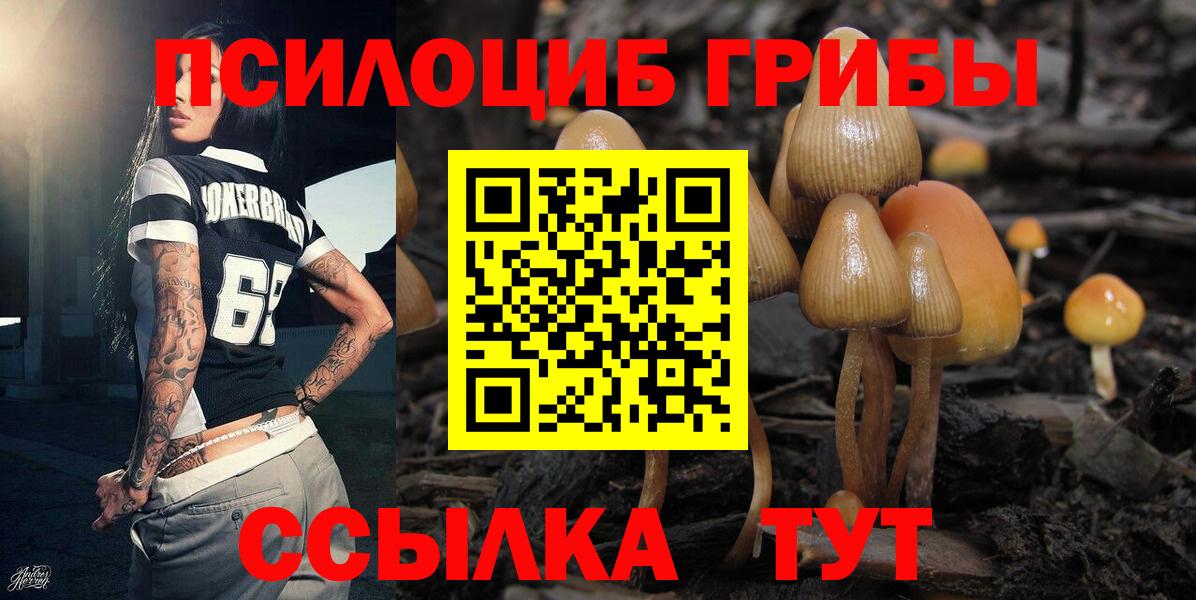 Галлюциногенные грибы мухоморы Кимовск
